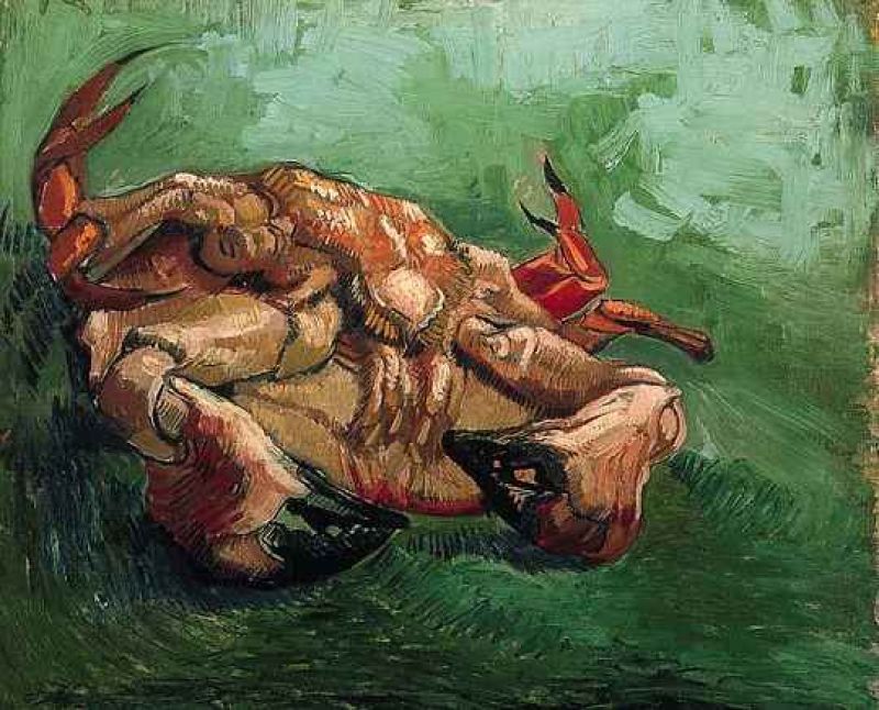 crab on its back.jpg